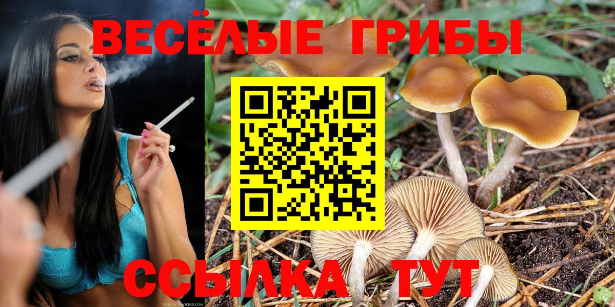 Псилоцибиновые грибы Magic Shrooms Конаково