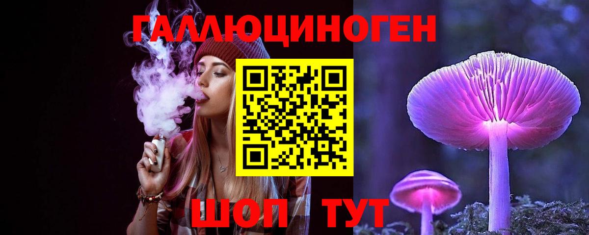 Галлюциногенные грибы GOLDEN TEACHER  Вход с VPN  где купить   Галлюциногенные грибы Psilocybe  Конаково 